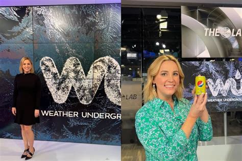 wethear chanel|weather channel meteorologists.